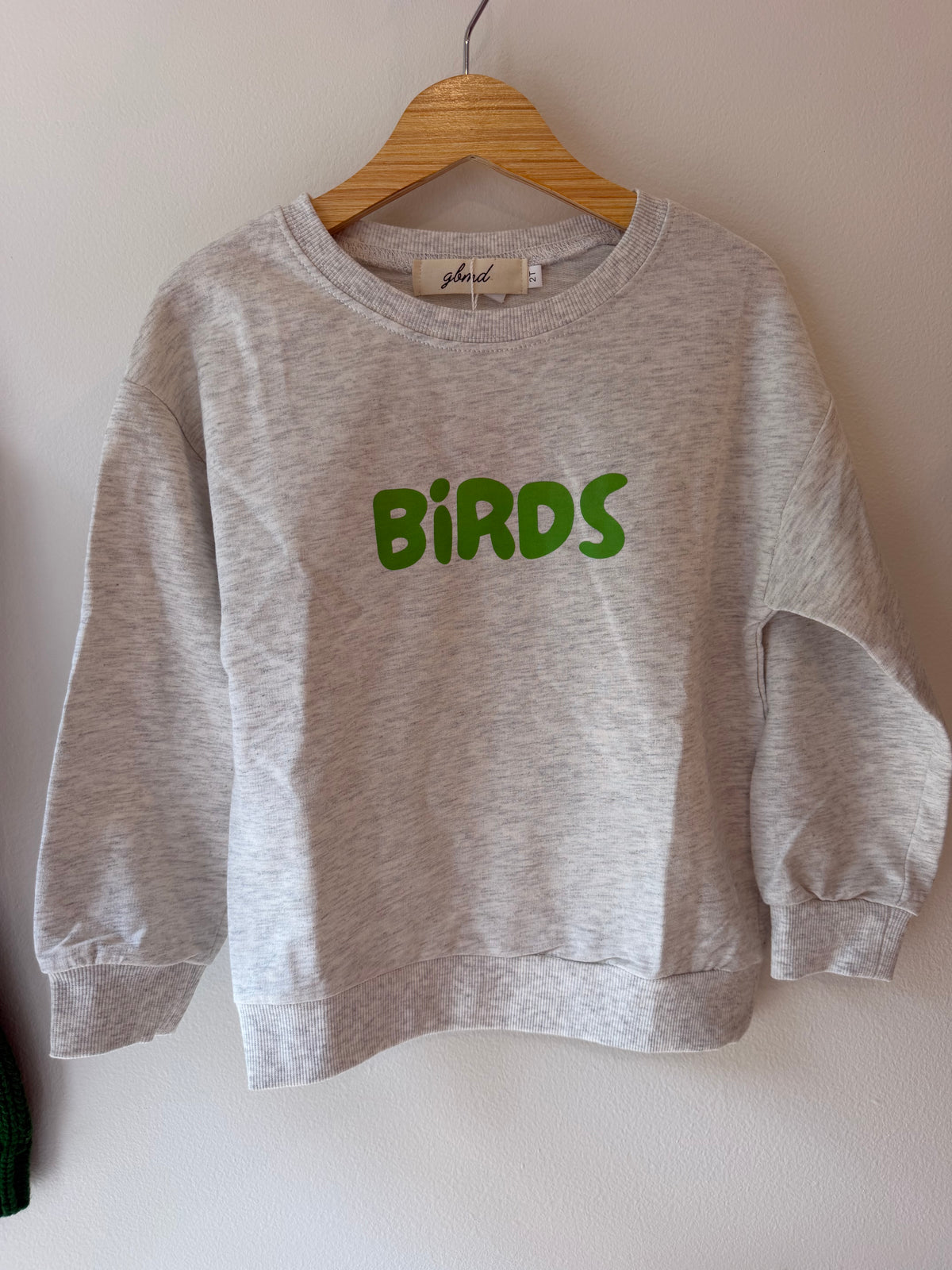 birds grey sweatshirt